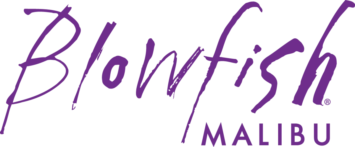 Shop Blowfish Malibu footwear at Willow & Oak Boutique