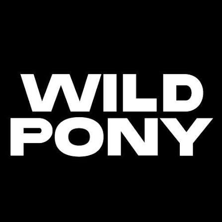Shop Wild Pony clothing at Willow & Oak Boutique